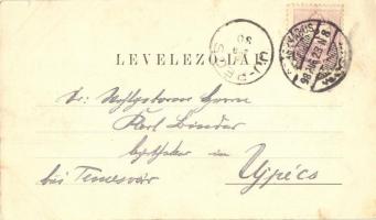 1898 Szászváros, Broos; Piactér / market place