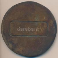 Nagy István (1920-) DN "Pécs - Erfurt Pro Amicitia" Br emlékplakett (85mm) T:2