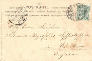 Pfingsten, Pentecost greeting, bugs