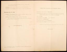 1914 Ferenc Ferdinánd trónörökös és Zsófia főhercegnő végzetes boszniai látogatásának korabeli, rész...