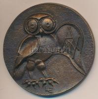 Ligeti Erika (1934-) 1986. "425 éves a debreceni nyomdászat" Br plakett (64mm) T:2