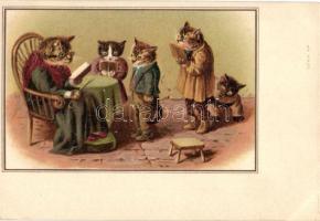 Cat school litho, unknown publisher serie no. 24