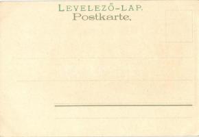 Cat school litho, unknown publisher serie no. 24