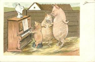 1899 Pig pianist, humour, litho