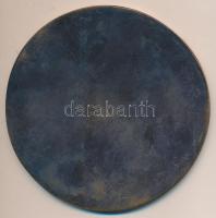 1993. "100 éves a Budapesti Elektromos Művek Rt." Br plakett (104mm) T:2