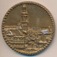 DN "Társadalmi munkáért Sopron Város Tanácsától" Br emlékérem (59mm) T:2