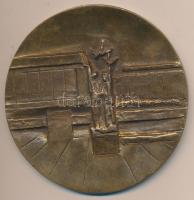 DN "Salgótarján Város Tanácsától" Br plakett (195mm) T:2