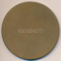 DN "Művészeti Díj - Szabolcs-Szatmár Megyei Tanács" Br emlékérem dísztokban T:1-