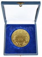 1988. "MTK-VM Sportklub 100 éves" nagyalakú aranyozott fém emlékérem dísztokban (70mm) T:2