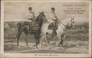 Franz Joseph I, Wilhelm II 'Rotes Kreuz Kriegsfürsorgeamt' (wet damage)