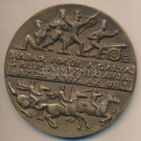 Búza Barna (1910-2010) DN "Petőfi Sándor" Br plakett (95mm) T:2