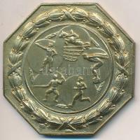 1963. "Cs. I. Nemzetközi öttusa verseny Budapest 1963." aranyozott fém emlékérem tokban (59x59mm) T:2