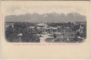 Központi Kárpátok, Husz díszkert / Central Carpathians, garden (r)