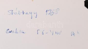 1958 Locsolókocsi a Svábhegyen, hátoldalán feliratozva, 12x9 cm