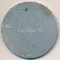 Berán Nándor (1889-1965) 1941. Német-magar-svájci Al díjérem (46,5mm) T:2