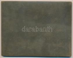 DN "Rottweiler Klub Budapest" Br plakett (94x120mm) T:2