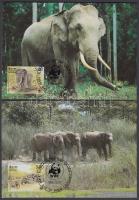 WWF elephants set on 4 CM, WWF elefánt sor 4 CM