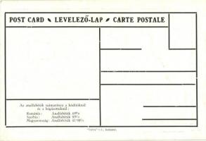 Az analfabéták számaránya a hódítóknál és a leigázottaknál / The proportion of illiterates among the...