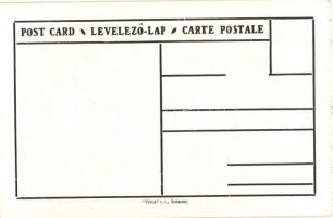 Marosvásárhely, irredenta s: Pólya Tibor