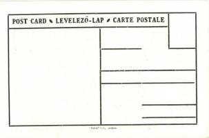 Kolozsvár, irredenta s: Pólya Tibor