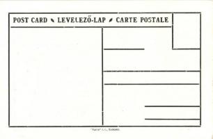 Brassó, irredenta s: Pólya Tibor