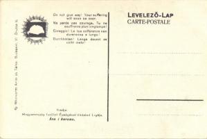 'Csak kitartás! Szenvedésed nem tart soká' kiadja Magyarország Területi Épségének Védelmi ...