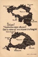'Would you accept this peace?' Belgian map, International call for help; irredenta propaganda