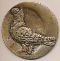 Kiss Kovács Gyula (1922-1984) 1969. "Nemzetközi Galamb Kiállítás Budapest" szignó nélküli ...