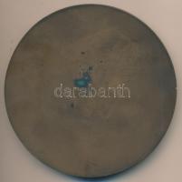 Sződy Szilárd (1878-1939) 1925. "Kajlinger Mihály 1860-1924" Br plakett (100mm) T:2
HP-559...