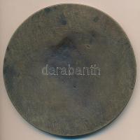 Medgyessy Ferenc (1881-1958) 1938. "Dr. Vámossy Zoltán" farmakológus, MTA tag bronz plaket...