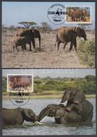 WWF afrikai elefánt sor 4 CM, WWF African elephant set 4 CM