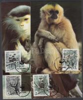WWF majmok sor 4 CM, WWF Monkeys set on 4 CM