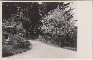 Kolozsvár, Botanikus kert / Botanical garden