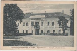 Buziásfürdő, Új szanatórium / new sanatorium (b)