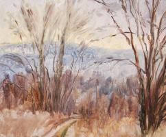 Salamon György (1948-): Téli táj. Olaj, karton, újszerű keretben, 30×40 cm