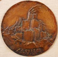 Olcsai Kiss Zoltán (1895-1981): Az ország a népe lett. Jubileum 1965. 2 db nagy méretű bronz plakett...