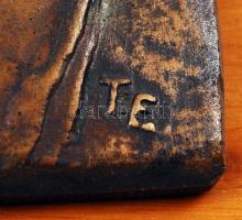 Takács Erzsébet (1928-1999): Mohácsy Mátyás. Bronz plakett, jelzett, fára ragasztva, hátán a művész ...