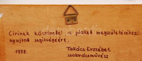 Takács Erzsébet (1928-1999): Mohácsy Mátyás. Bronz plakett, jelzett, fára ragasztva, hátán a művész ...