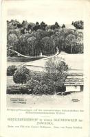 43 db vegyes, háború előtti külföldi városképes lap / collection of 43 worldwide town-view postcards...