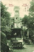 49 db vegyes régi városképes lap a történelmi Magyarország ma már határon túli területeiről / collec...