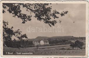 Élesd, Tüdőszanatórium / sanatorium (fa)