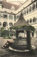 Grein und Donau, Schlosshof, Ziehbrunnen / castle yard, fountain (EK)