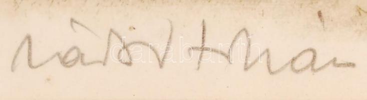 Zádor István(1882-1963): Hazafelé. Színezett rézkarc, papír, jelzett, üvegezett keretben 25×33 cm