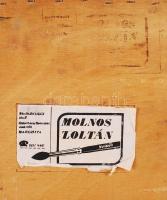 Molnos Zoltán: Férfi fej. Olaj, vászon, 52×32 cm