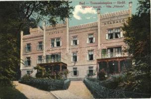 Trencsénteplic, Villa Viktoria; kiadja Wertheim Zsigmond