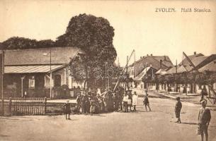 Zólyom, Zvolen; Kisállomás, Malá Stanica / smaller railway station
