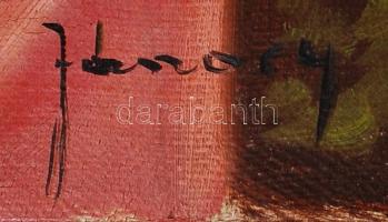 Jánossy jelzéssel: Cigány lány. Olaj, vászon, kis lyukkal,keretben, 70×50 cm