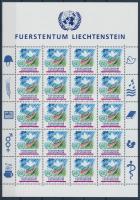 Accession of Liechtenstein to the United Nations mini sheet Liechtenstein csatlakozása az ENSZ-hez k...