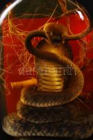 Laoszi kígyó whisky