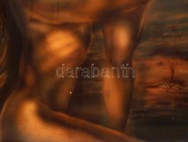 Herpai Zoltán (1951-2011): Medusa. (Akt) Akril, farost, lefolyás nyomokkal, jelzett, keretben, 108x5...